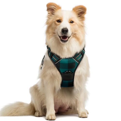 rabbitgoo Dog Harness No-Pull, Comfortable Padded Plaid Harness with Handle Easy Control, Adjustable Reflective Pet Vest with 2 Leash Clips for Medium Sized Dogs, Green Plaid, M