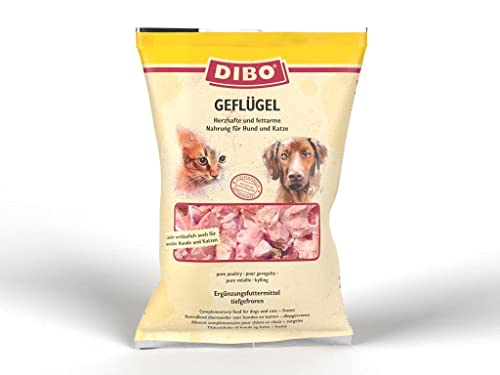 DIBO Geflügel, 3 x 2.000g-Beutel, Tiefkühlfutter, gesunde, natürliche Ernährung für Hunde und Katzen, Barf Fleisch