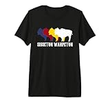 Sisseton Wahpeton Oyate Tribe Dakota Nation Santee Sioux Premium Tri-blend T-Shirt