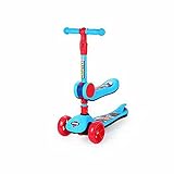 Durable Material: Aluminiumlegierung sorgt für hervorragende Unterstützung, und das robuste Material sorgt dafür, dass der Roller stabil und langlebig ist.