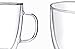 DeFancy Double Wall Coffee Mug 17 oz Insulated Borosilicate Glass Coffee Cup with Handle and Lid