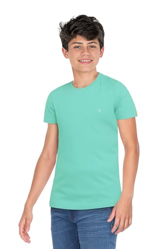 Image of Allen Solly Boys' Crew Neck T-Shirt | Stag Logo | Cotton | Regular Fit | Everyday Kids Casual Wear