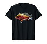 Questo disegno mostra un fantastico esemplare di Firefish, indicato anche come Aulonocara baenschi, koningsi, stuartgranti incrociati nell'acquario e nell'hobby dell'acquariofilia. Proprio come i pellet di ciclidi, poster di ciclidi, mbunas sono ciclidi
