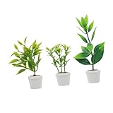 bonsai pots amazon Acento de estilo nórdico: infunda su espacio con nórdica usando plantas de bonsái en miniatura y macetas de flores en miniatura, aportando sofisticación atemporal a la decoración de jardines en miniatura o decoración en miniatura de casas de muñecas, plantas en macetas en miniatura de casas de muñecas, accesorios de escenarios de casas de muñecas