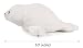 Ice King Bear Baby Seal Peluche Peluche Blanco 25 Imagen de Ice King Bear Baby Seal Peluche Peluche Blanco 25