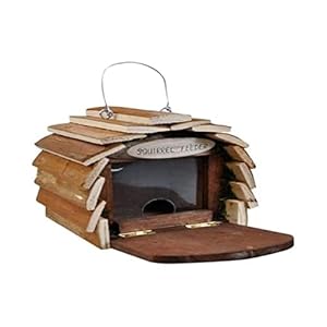 Eekhoornvoederstation van hout van Kingfisher