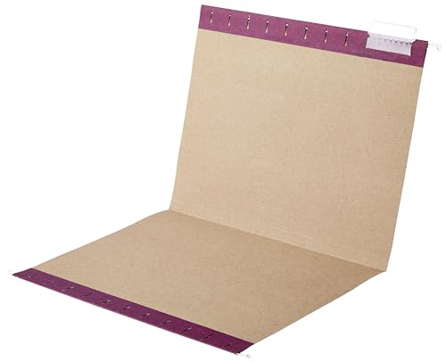 Image of Amazon Basics Hanging File Folders with Adjustable Tabs for Document Organization, Letter Size, Assorted Jewel-Tone Colors, 25-Pack