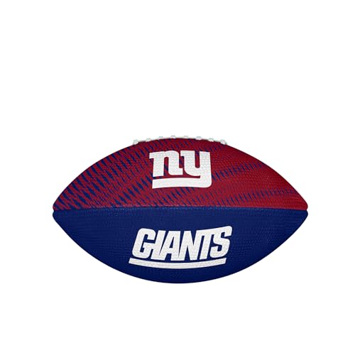 Image of WILSON Unisex NFL Team Tailgate Footballs