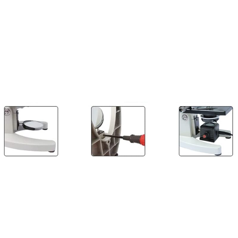 USB Powered Microscope Light Microscope LED Light Source - Adjustable ...