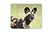 Price comparison product image Destination Vinyl Ltd African Wild Dog Mouse Mat Pad - Painted Hunting Dogs Cute Computer #16259