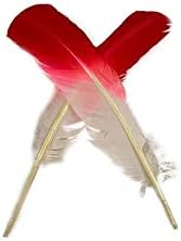 ZUCKER Two Tone Ombré Tipped Turkey Quill Feathers 10-12” 2 PC Feathers for Carnival, Dyed Feathers for DIY - Coral/White