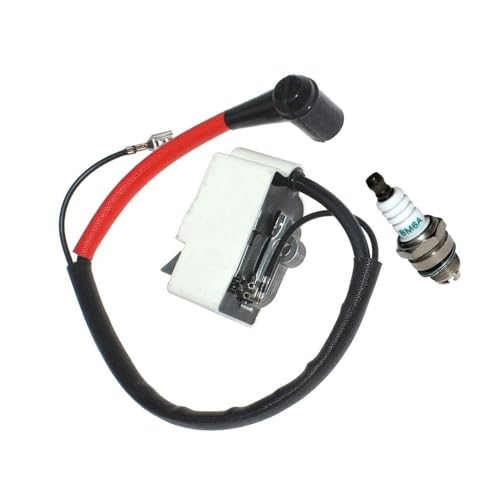 Bobine d'allumage haute tension pour moteur EA6100 EA6101P