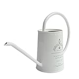 Calunce for Decorative Purpose Watering Can,Mini White Iron Long Spout Watering Can, 17oz