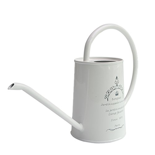 Calunce Mini White Iron Long Spout Watering Can for Decorative Purpose Watering Can, 17oz