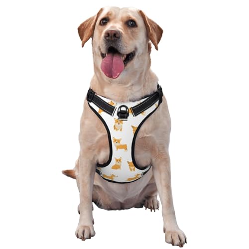 AFHYZY Dog Harness and Leash Set No Pull, Adjustable Reflective Dog Vest Harness with Handle Easy Control for Cats, Pet, Dogs, Walking, Hiking (Medium) -Corgi