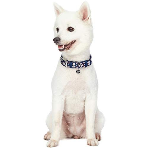 Collier pour chien boucle en métal résistant et sangle ajustable