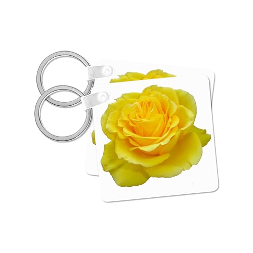 3dRose, A photograph of a joyful yellow rose and symbolic