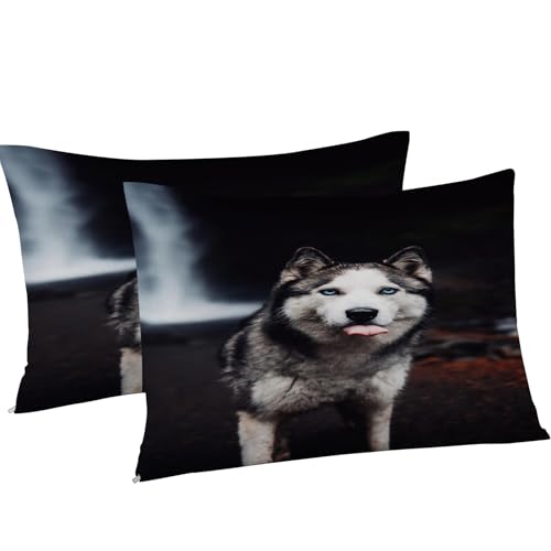 Housse de couette husky fermeture éclair lit 2 personnes 240x260