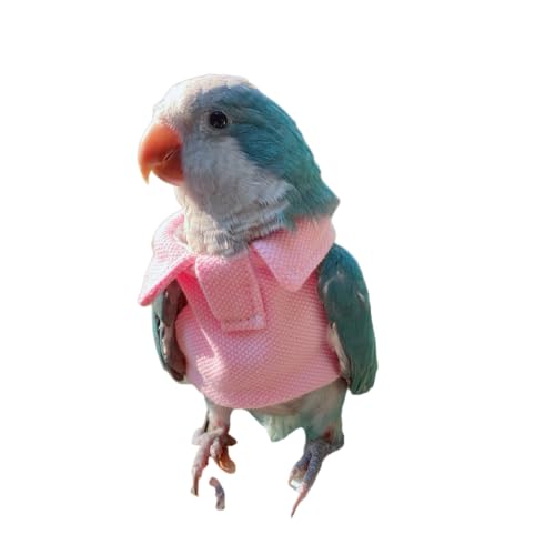 Parrot Bird Supplies, Light Flying Clothes, Warm and Comfortable, Tiger Skin, Green Cheek Parrot, Little Sun Parrot, Monk Parrot, Starling, mynah, Senegal Parrot, Mini Macaw Sweater (2XL)