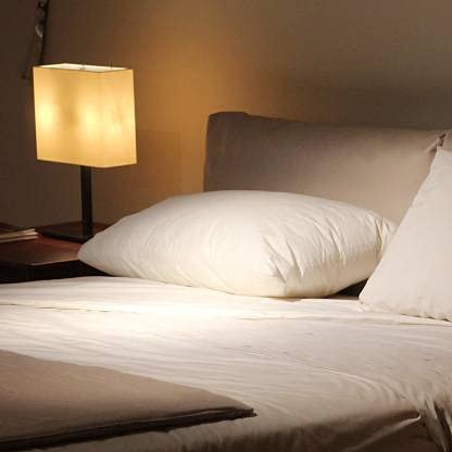 GENERIC Cotton Solid Sleeping Pillow Pack of 1 (White)