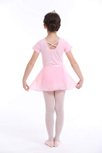 Ballet Leotard for Toddler Girls Gymnastics Dancewear Clothes Set with Skirts Tights Briefs 2-9T (Warm Pink(Short Sleeves), 2-3T) - Thumbnail 3