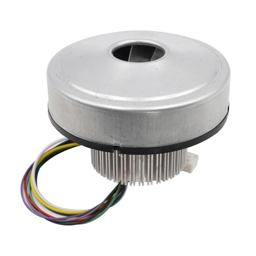 Aspirateur de véhicule performant grâce au souffleur sans balais 48V