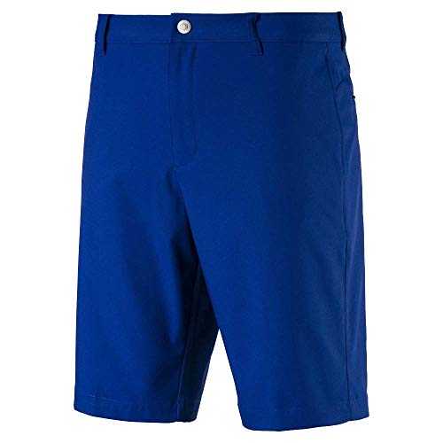PUMA Golf 2019 Men's Jackpot Short, Surf The Web, 36