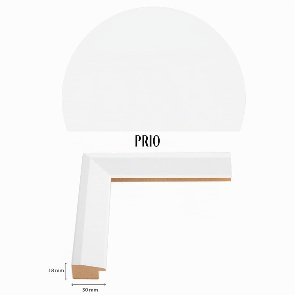 Bildershop-24 Telaio in vetro doppio con doppi vetri, Prio in Bianco (opaco) 40x60cm con vetro acrilico, cornice per quadri con doppi vetri