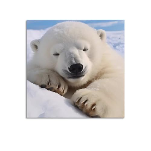 Ours polaire endormi poster d'œuvre d'art sur toile koanga moderne 70x70