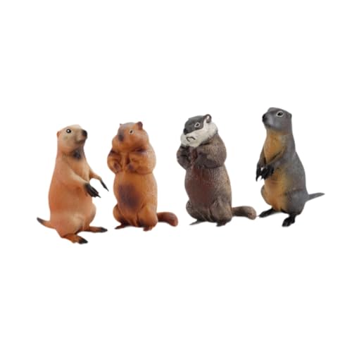 harayaa Lot de 4 Figurines D'action Marmotte, Modèles D'animaux Simulés, Statues D'animaux Sauvages En Cadeau
