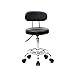 Goujxcy Multi-Purpose Salon Stool Chair, Adjustable Rolling Swivel Stool with Back Cushion and Wheels Perfect for Beauty Salon Spa Tattoo Massage Dental Clinic Office Art Studio, Black