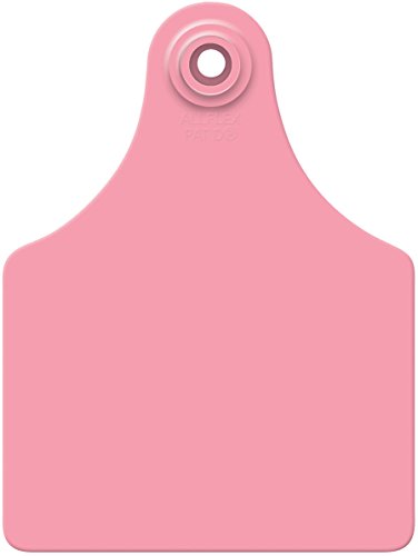 Maxi GLBL TAG PNK BLNK 25'S