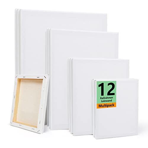 Lot de 12 toiles à peindre - Blanc - Châssis 18 x 14 cm, 19 x 24 cm, 24 x 33,3 cm - 31,8 x 41 cm - Pour peinture acrylique, aquarelle, 100 % coton et pin Cover