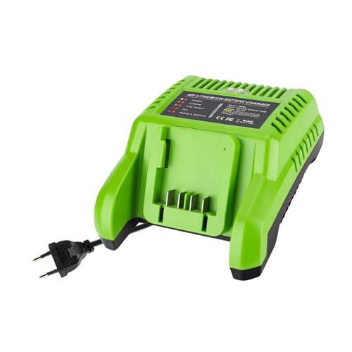 Cargador de batería DC de pared para taller y hogar 2