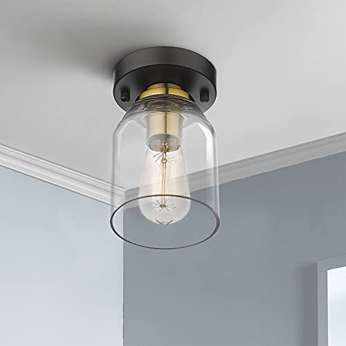 Zeyu ZG33F BK+BG Small Ceiling Light Fixture thumb #1
