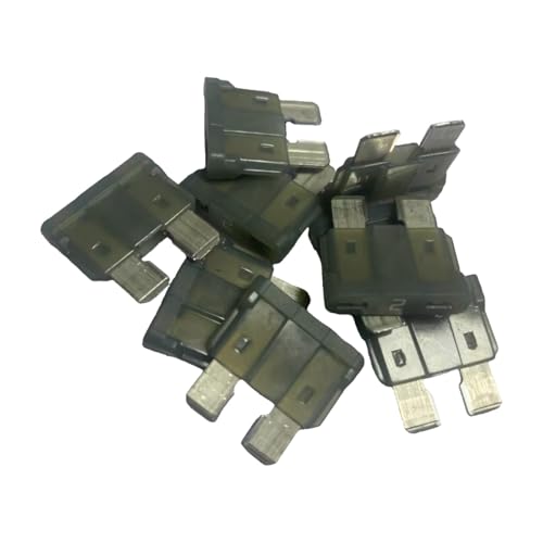 Fusible de voiture medium 2A ampères pour circuit électrique auto 50pcs