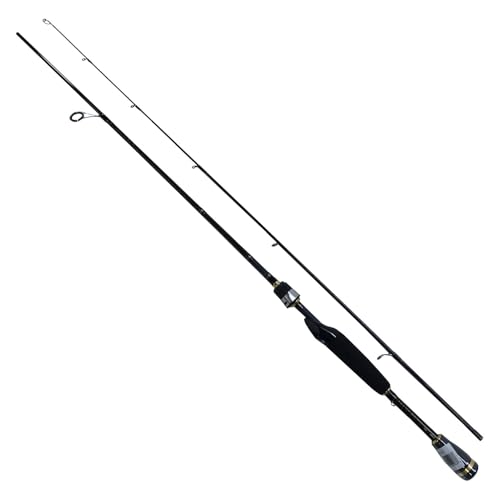 DAIWA AIRD-X Rod, Black, 5'6"