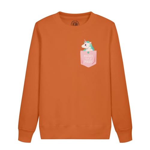 Sweatshirt enfant licorne le cadeau d anniversaire magique