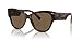 Dolce & Gabbana Sunglasses DG 4449 502/73 Havana Dark Brown
