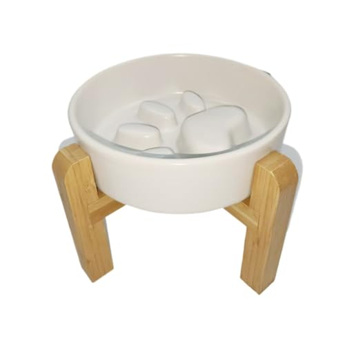 Vlwm Hh~{E X^ht ~  H qfh~  ё 񕉒Sy  a 퐻 t[h{E  e 퐻Hh~M [Y Hh~   X H̑ ^ ^ ^ (}bgzC