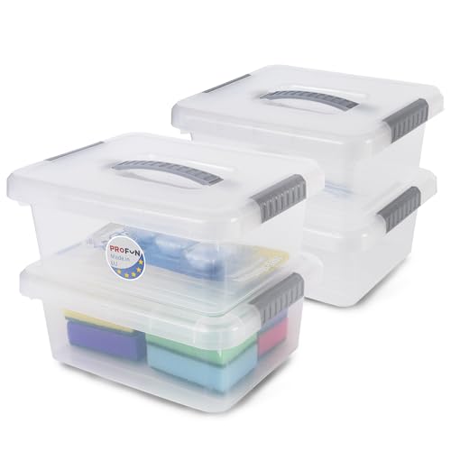 PROFUN Opbergdoos met deksel, 3 liter, grote plastic doos met deksel, stapelboxen, opbergdozen met deksel, set van 4