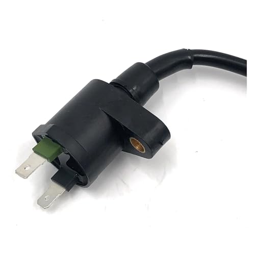 Bobina de encendido para motocicletas de cuatro ruedas E-Ton 150 4