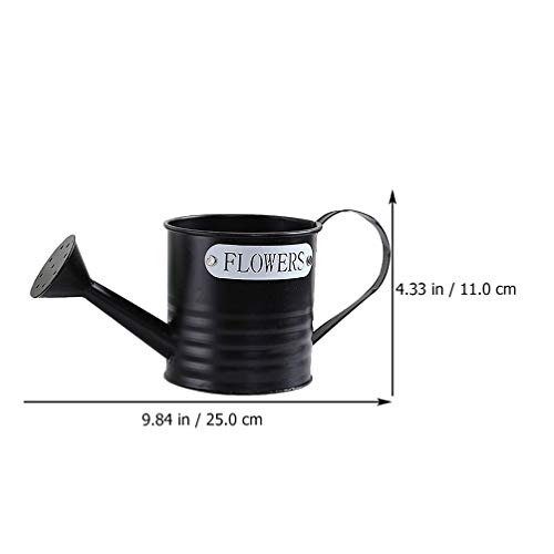 Hemoton 2 Unidades de Regador Pote de Metal para AspersÃ£o de Planta Frasco Spray para Bonsai Materi