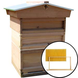 easibee Starter Kit Cedar Bee Hive With Gabled Roof, Frames & Wax FED74675