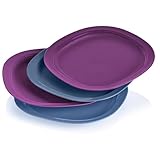 Tupperware Microwave Reheatable Luncheon Plates 9.5
