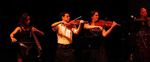 Gaia Consort