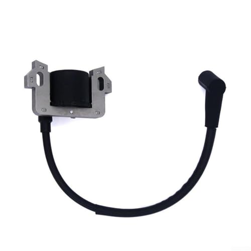 Besttoolifes - Besttoolifes Bobine d'allumage pour nettoyeur haute pression 2700 PSI 2,3 GPM Haut débit Pièce de rechange compatible avec les modèles 020414 020486 Noir