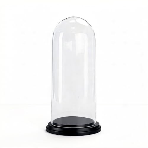 CYS EXCEL Glass Dome