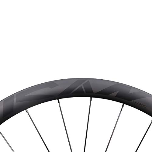 BD40 Disco Ruote 700C Copertoncino Tubeless Ready