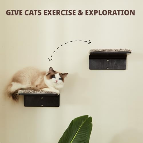 LIORCE 2 Escalones de Madera para Gatos para Pared miniatura 2